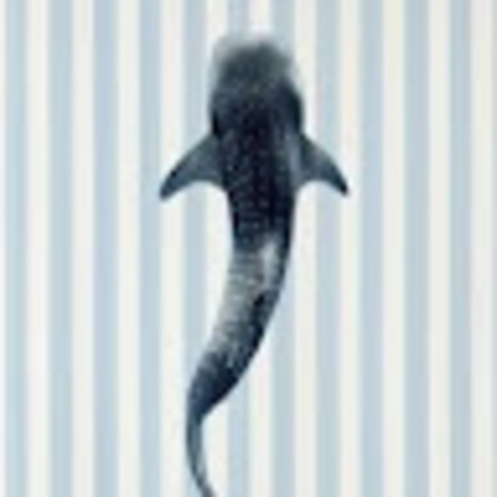 Meet your Posher, Naomi